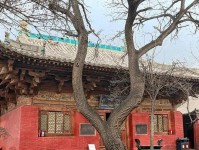 《三国魂国将攻略》（解锁最强国将，征战三国乱世）