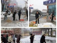 暖雪机关外壳的搭配选择（以游戏为主，打造独具风格的机关外壳）