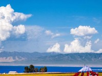 探寻地下城堡3老旧指北针的攻略（解密指北针获取方法，轻松掌握）