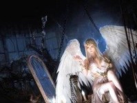 新神魔大陆二转攻略（打造最强二转角色，一步步升级进阶）