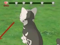 小森生活猫碗放不了的解决方法（以游戏为主，轻松解决你的烦恼）