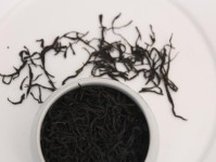 以零界之痕SSR哪个好用？排行榜揭晓（详细解析每个SSR角色的强度对比，助你选出最优角色）
