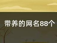 仙人巫女出装最新攻略（华丽又神秘，仙人巫女出装法揭秘）