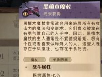 哈利波特（玩转魔法世界的冒险之旅）