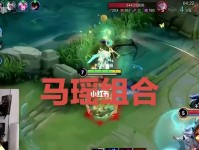 张大仙铠半肉出装攻略（掌握关键装备，打造无敌铠甲）