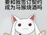 异界魔法少女攻略指南（探秘异界之门，成为魔法力量的守护者）