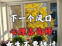 《以心理医生2》游戏攻略大揭秘（挑战心理难题，成为顶尖心理医生）
