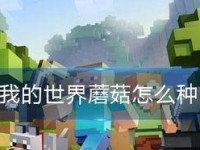 我的世界怎么种蘑菇,蘑菇种植全攻略