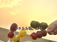 《美味山楂串糖葫芦游戏攻略——尽享糖果之乐》（制作、玩法、技巧，快来探索山楂串糖葫芦的世界吧！）