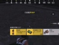 和平精英极寒模式点火方法全解析（从选角到获胜，教你一步步点火）