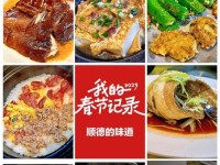 《一天完美计划》——打造理想生活的秘诀(全生词出处一览,15个段落详解计划实施细节,从今天开始践行)