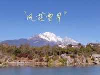 风花雪月桌面游戏攻略（玩转风花雪月，成为顶级玩家！）