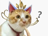 如何在LOL手游中发送表情和设置主题（LOL手游表情和主题设置指南）