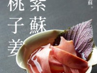 以附浸染之白游戏攻略（探索秘密，解锁背后的谜团）