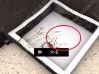 揭秘石门村惨案背后的线索（一探究竟，细数通关攻略）