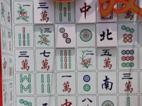 以坑爹12攻略第五关