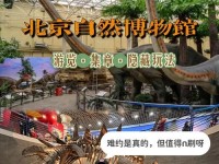 探索恐鸟巢穴（了解恐鸟的起源及重要属性，轻松捕捉宠物）
