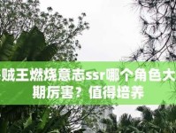 《航海王燃烧意志》黄猿攻略大全（成为黄猿之王，全面掌控战斗）