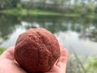 钓鱼看漂技巧游戏攻略（钓鱼看漂技巧大揭秘！从入门到高级玩家，迅速提升你的垂钓技能！）