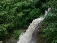 掌握奥拉星手游大河龙女的强大技能（百川之力掀起波澜，大河龙女亦如泰山压顶！）