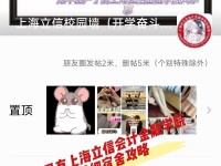 机战奋斗版攻略（探索机战奋斗版世界，终成巅峰）
