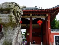 天师最强出装攻略（解锁最强天师装备，成为战场主宰！）