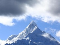 《新笑傲江湖》游戏内黑焰青鬃及天水玉龙获取攻略（想要更强大的战斗力？来看看这两个神兽怎么获取吧！）