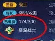 王者荣耀英雄熟练度怎么看,查看与提升技巧